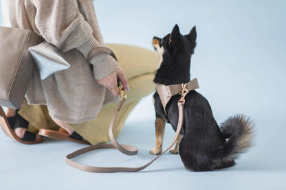Leather Leash - greige