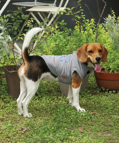 Dog Logo Sweatshirt Crew – Gray