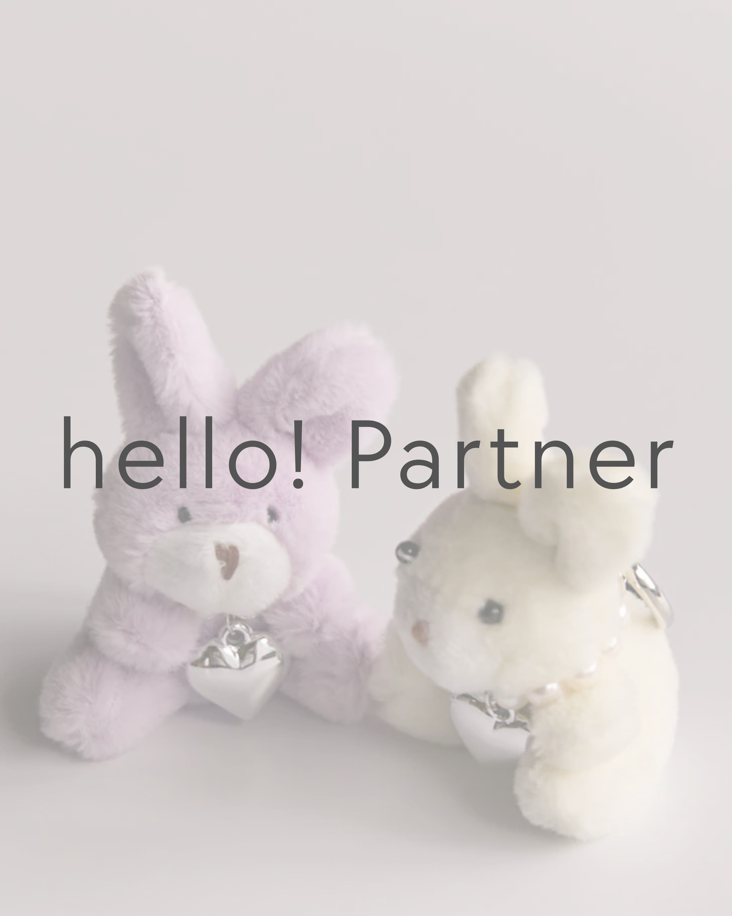 The Partner Program