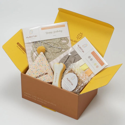 Birthday Party Box for Dog