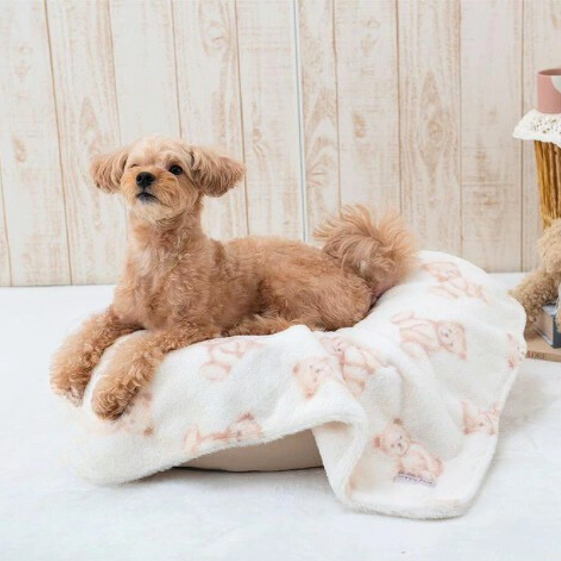 Happy Bear Blanket - beige