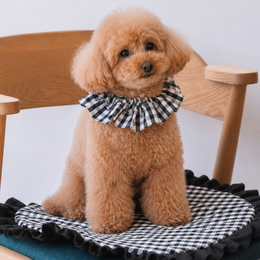 Reversible Pet Bandana | Black