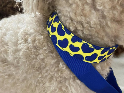 Character Collar - pier39