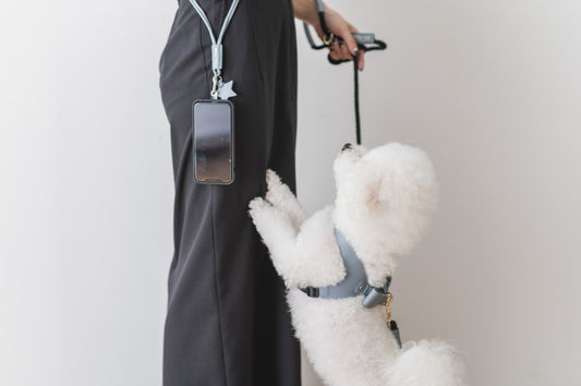 Leather Phone Strap | Blue