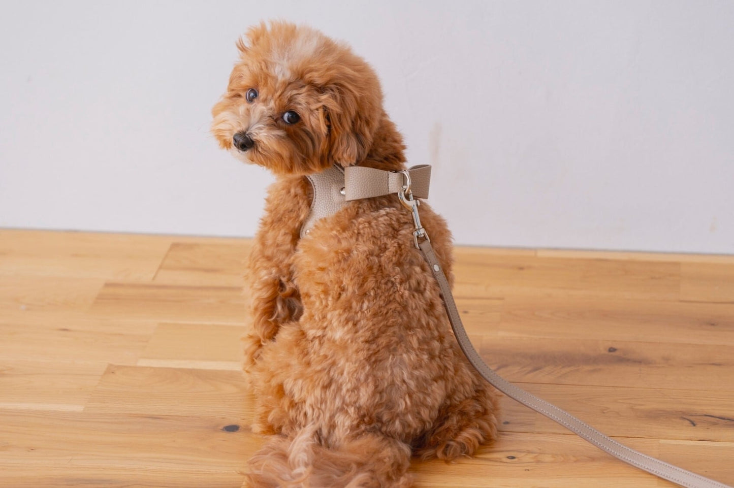 Ribbon Vegan Leather Harness | Brown