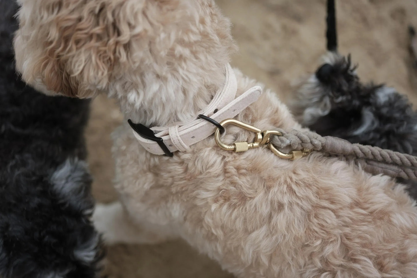 Ethical Leather Collar