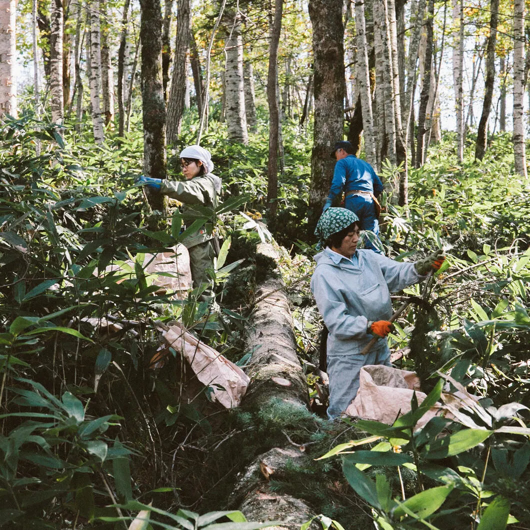 Aroma Toner – Birch for dry skin