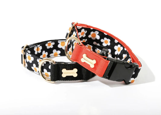 Character Collar - daisy