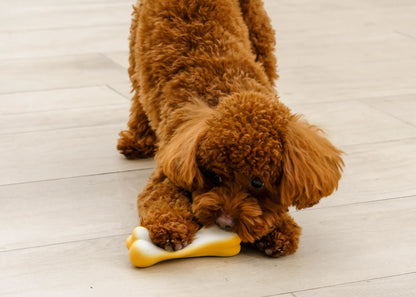 Happy Chew Bone
