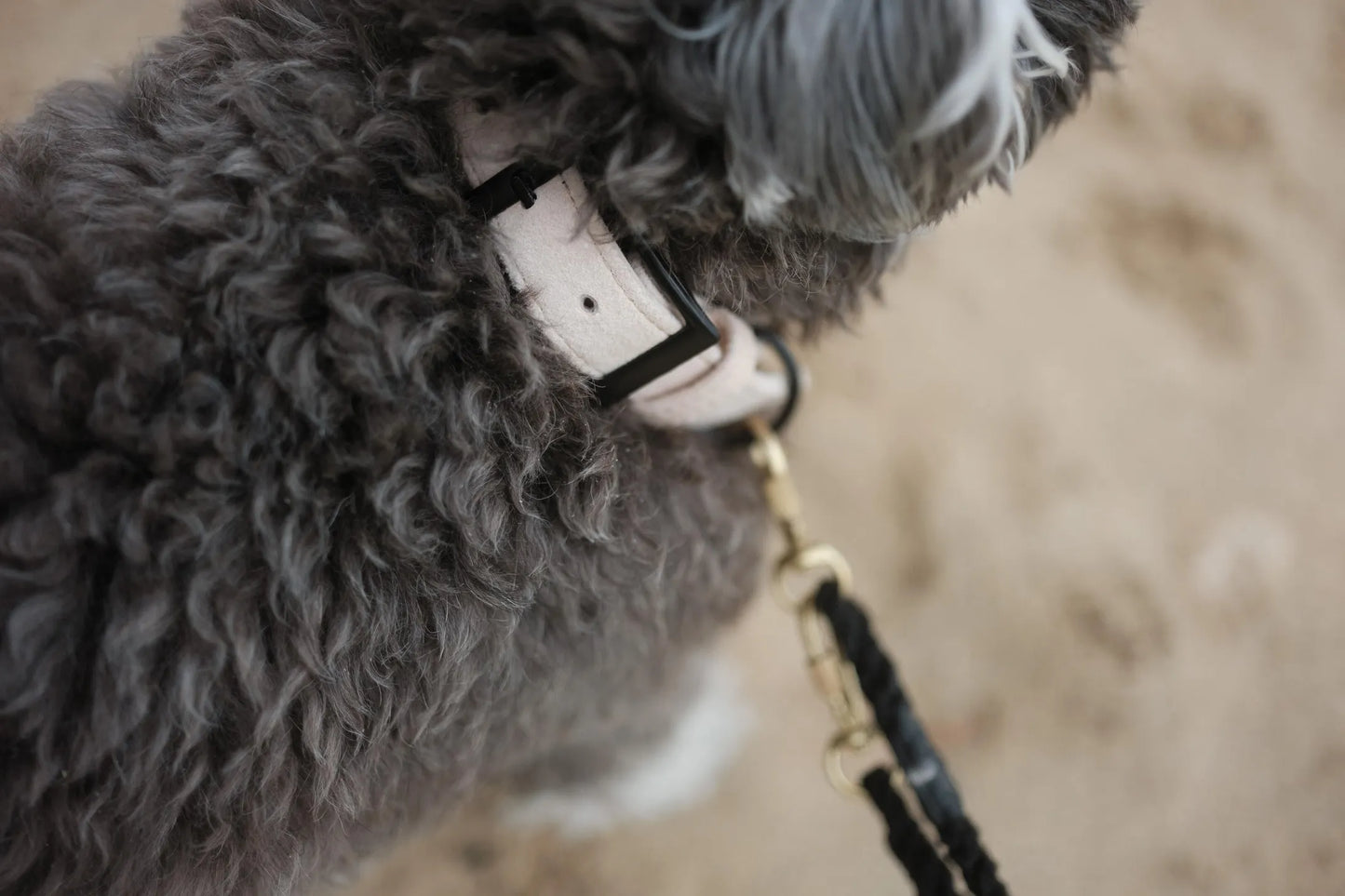 Ethical Leather Collar