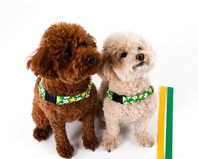 Character Collar - picnic