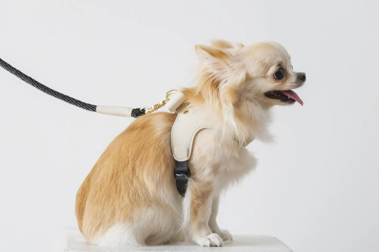 Ribbon Leather Harness - white