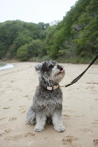 Ethical Leather Collar