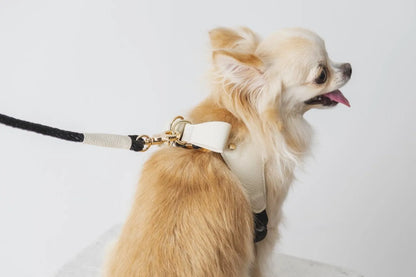 Ribbon Leather Harness - white