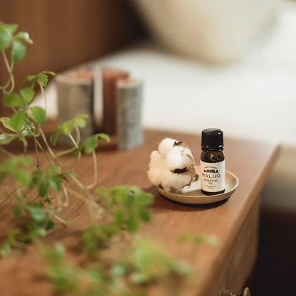 Essential Oil - Hokkaido Fir