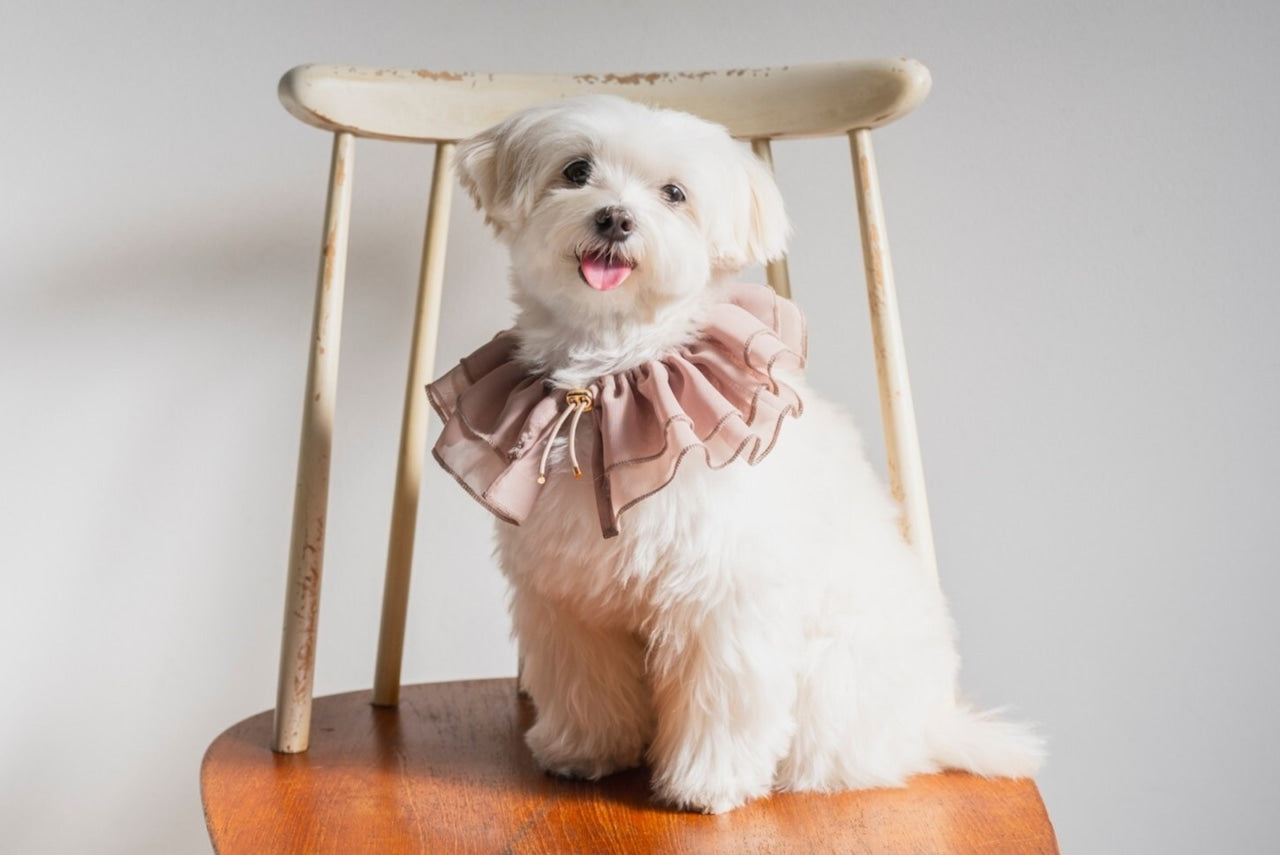 Chiffon Ruffle Pet Scrunchie | Pink Beige