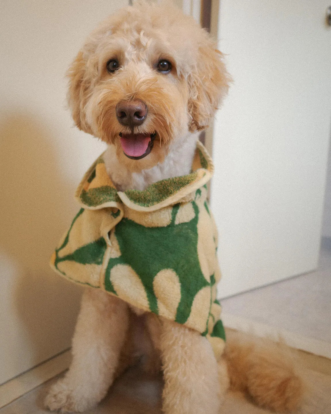 Dog Robe - Flower