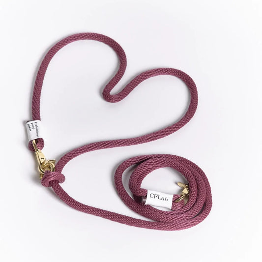 Hand Free Braid Leash - burgundy