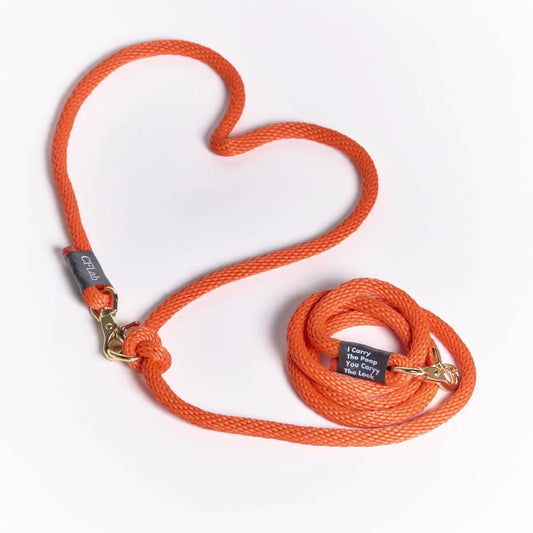 Hand Free Braid Leash - orange