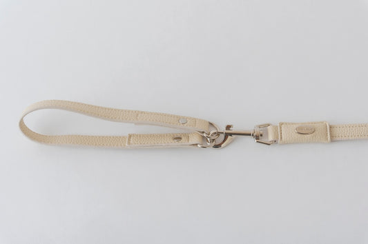 Blue Snap-Handle Dog Leash | Small & Medium Dogs