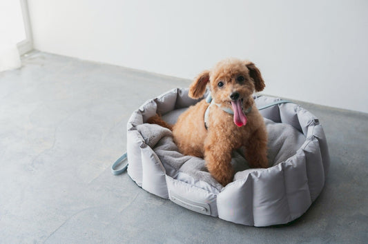 Cloud-Like Calming Pet Bed | Grey
