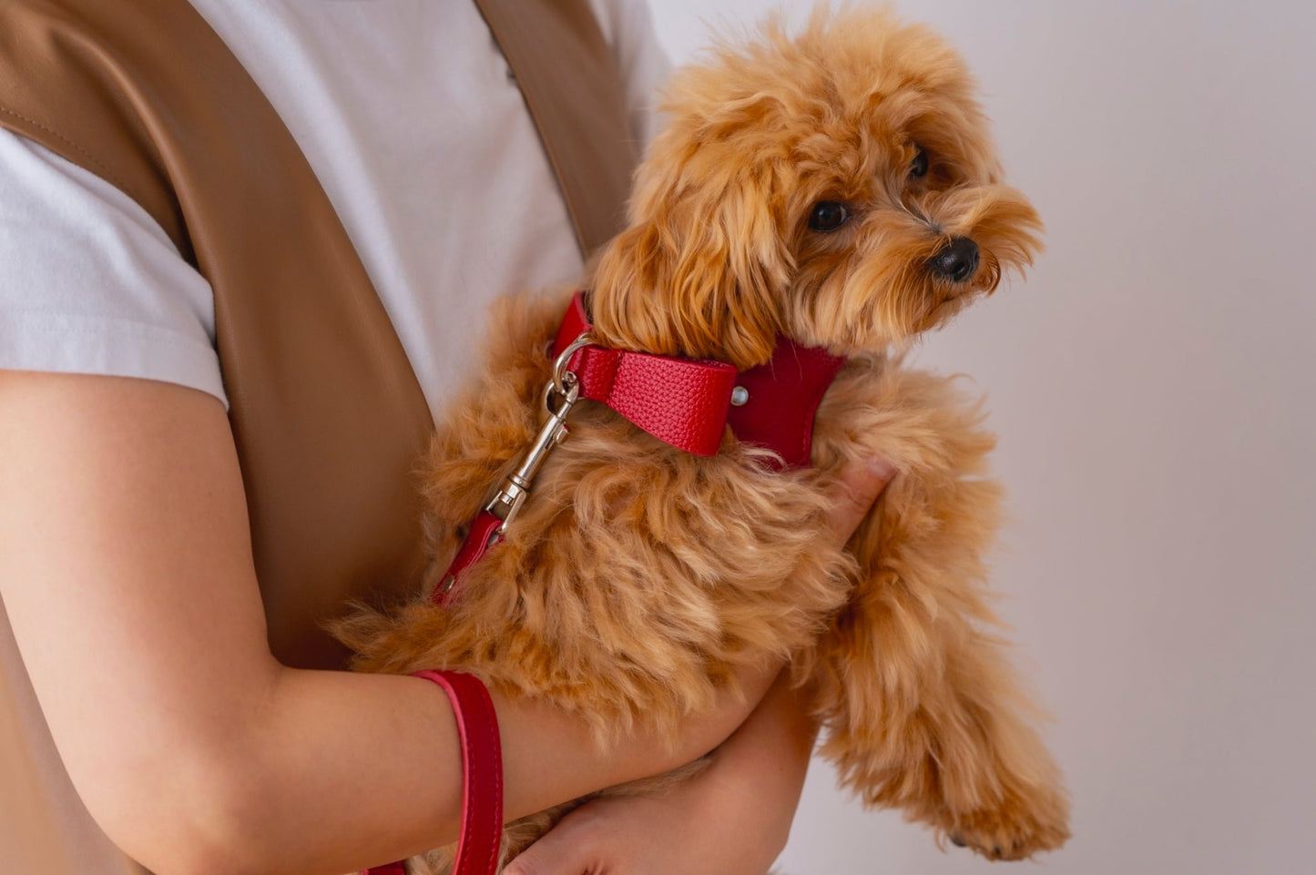 Ribbon Vegan Leather Harness | Red
