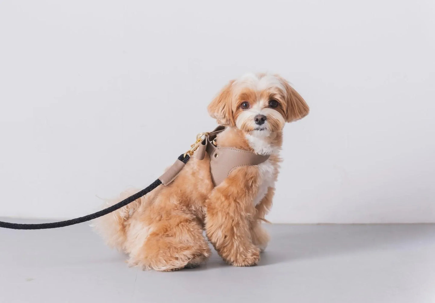 Ribbon Leather Harness - greige