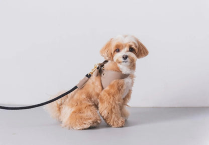 Ribbon Leather Harness - greige