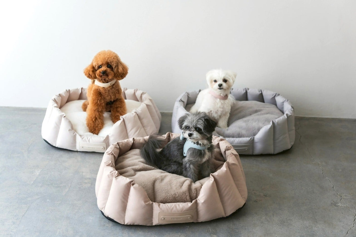 Cloud-Like Calming Pet Bed | Ivory