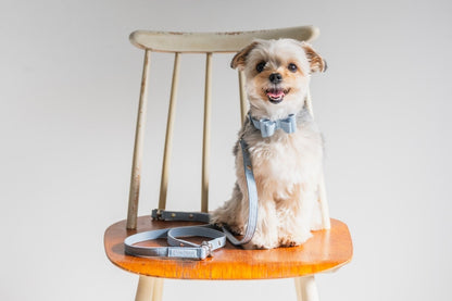 The Blue Bow Tie Collar | Soft Eco-Suede