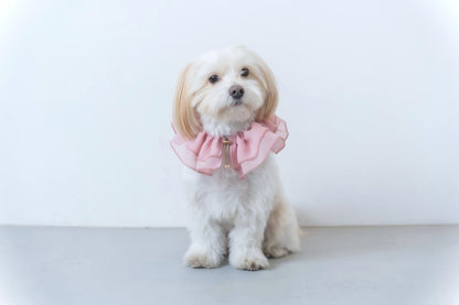 Chiffon Ruffle Pet Scrunchie | Pink