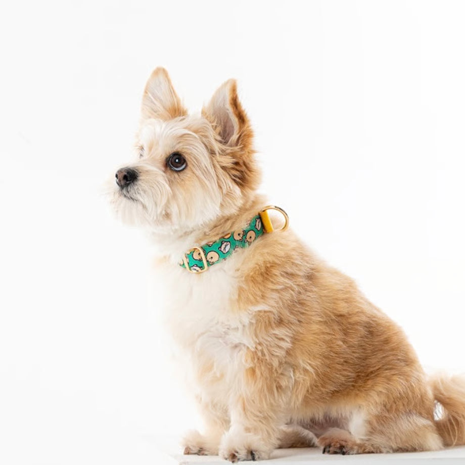 Character Collar - woo zoo