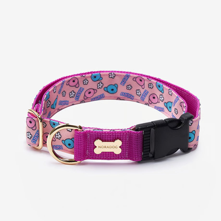 Character Collar - haru