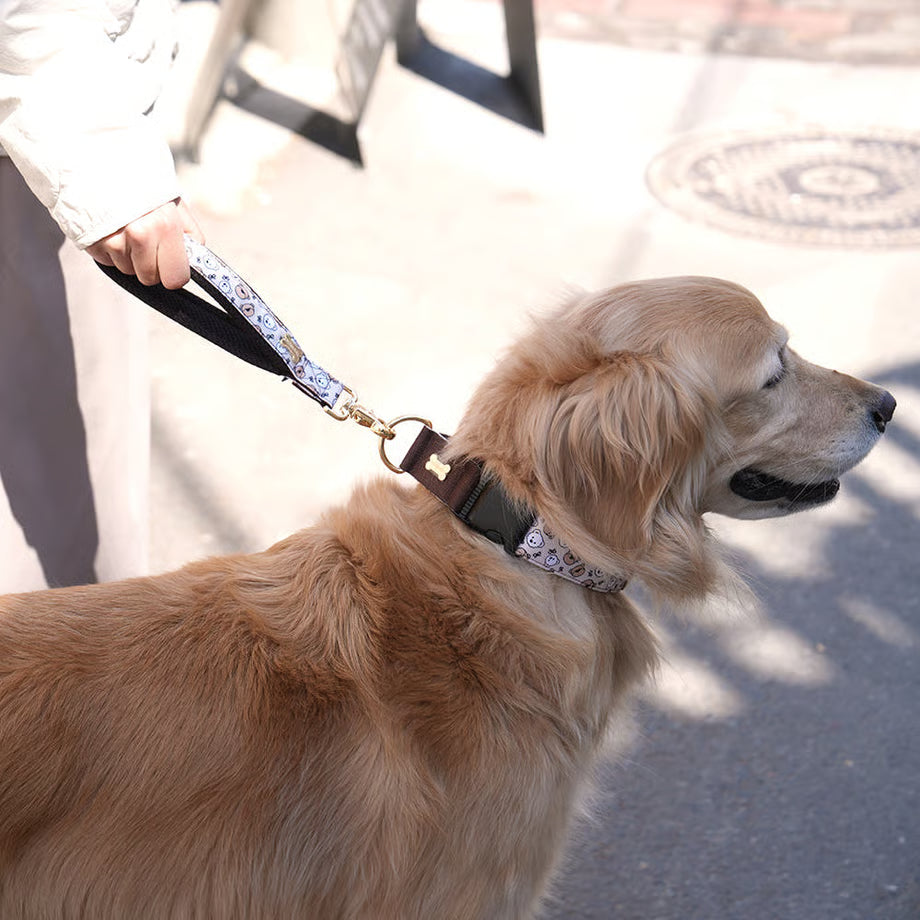 Character Collar - kitsch quiche